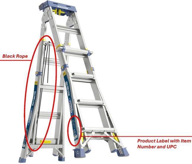 werner ladder recall