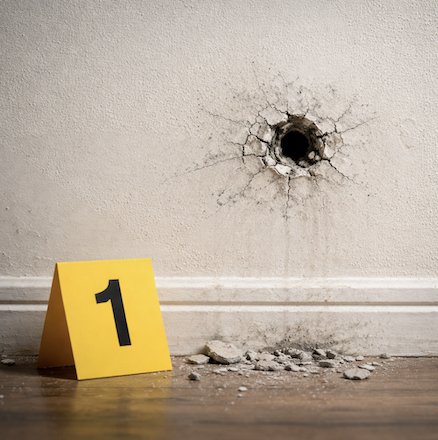 accidental shooting wrongful death lawsuit